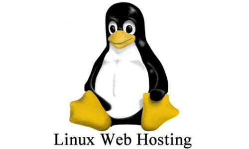 Linux Web Hosting - Merits And Demerits