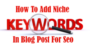How To Add Niche Keywords In Blog Post For Seo